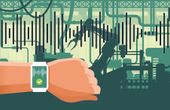 Fighting Deepfakes with Smartwatches