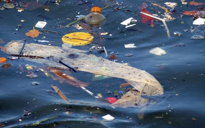 AI helps marine scientists track floating debris from space