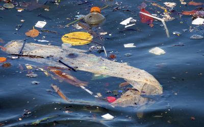 AI helps marine scientists track floating debris from space