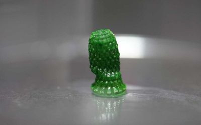 A building material that lives and stores carbon