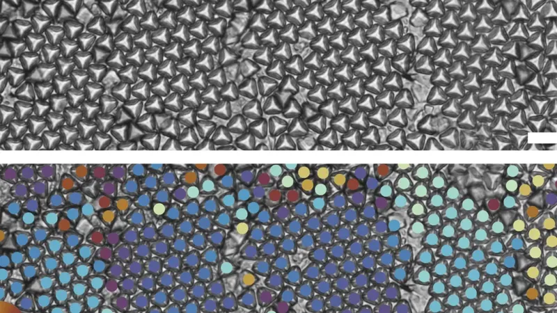 Optical images of truncated tetrahedrons forming multiple hexagonal grains (top). Bond order analysis shows different hexagonal grains through different colors (bottom). Neighboring tetrahedrons that have the same color indicate that they have the same grain orientation. Scale bar is 20 um. | Image courtesy of David Doan & John Kulikowski