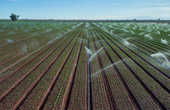 Smart Irrigation: Optimizing Water Use with PCBA-Driven Tech