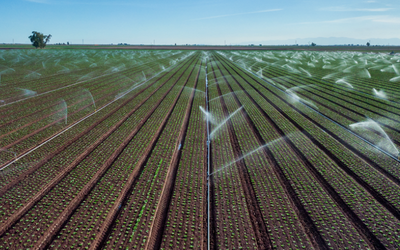 Smart Irrigation: Optimizing Water Use with PCBA-Driven Tech