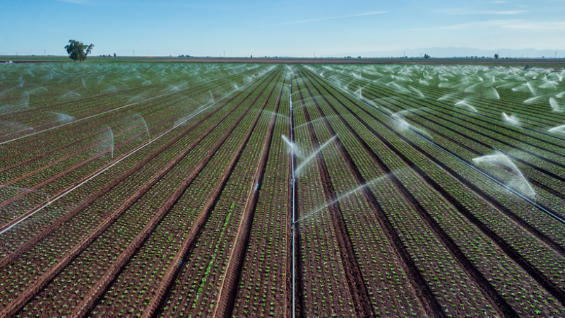 Smart irrigation at work 