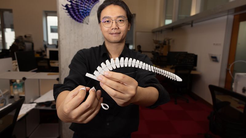 The “Xstrings” method can produce a range of colorful and unique objects, like a white tentacle that curls around items and a purple wall sculpture that can open and close. Photo: Mike Grimmett/MIT CSAIL
