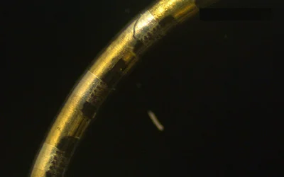 Soft bioelectronic fiber can track hundreds of biological events simultaneously