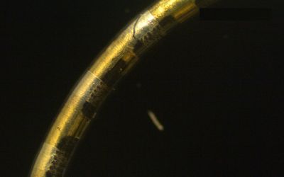 Soft bioelectronic fiber can track hundreds of biological events simultaneously