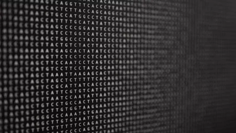 Biology is written in a combination of As, Cs, Gs, and Ts that can be hard to understand. Evo2 aims to make the language of biology and also biological design more accessible to researchers. | Andrew Brodhead