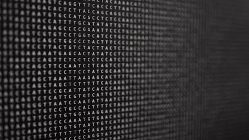 Biology is written in a combination of As, Cs, Gs, and Ts that can be hard to understand. Evo2 aims to make the language of biology and also biological design more accessible to researchers. | Andrew Brodhead