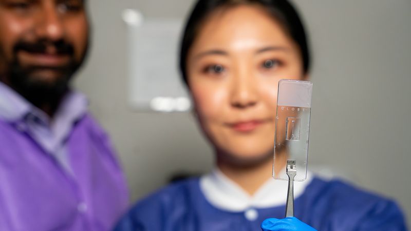 Dr. Abhishek Jain, Jennifer Lee and the vessel-chip. | Image: Texas A&M Engineering