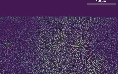 Spinning, twisted light could power next-generation electronics
