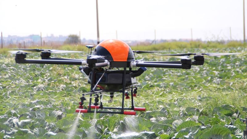 Enabling the sustainable transformation of agriculture with the Internet of Things