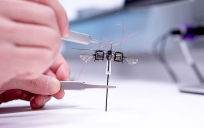 Hopping gives this tiny robot a leg up