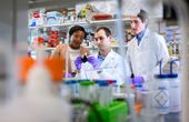 Engineers develop a way to mass manufacture nanoparticles that deliver cancer drugs directly to tumors