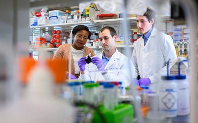 Engineers develop a way to mass manufacture nanoparticles that deliver cancer drugs directly to tumors