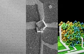 DNA Helps Electronics to Leave Flatland