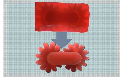 New 3D printing method enables complex designs and creates less waste