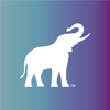 Ps %20Favicon Seymour 512x512