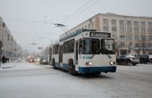 Electric buses don't like the cold, study finds