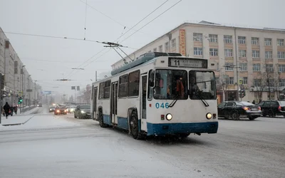 Electric buses don't like the cold, study finds