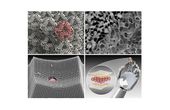 Mapping the future of metamaterials