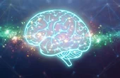 A step towards understanding machine intelligence the human way