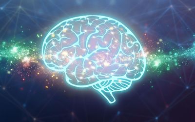 A step towards understanding machine intelligence the human way