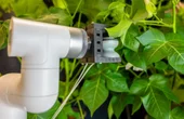 Soft robotic gripper injects leaves with precision